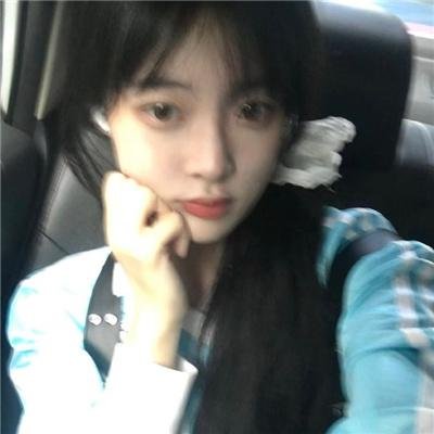 重鸟 在线观看